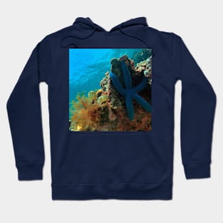 Linckia Laevigata Hoodie